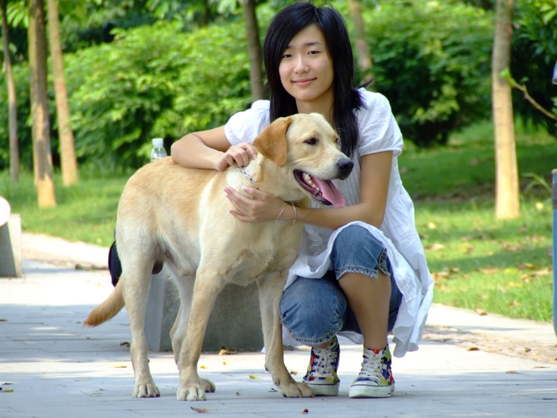 风中的绿叶的第一张照片--长乐相亲服务中心