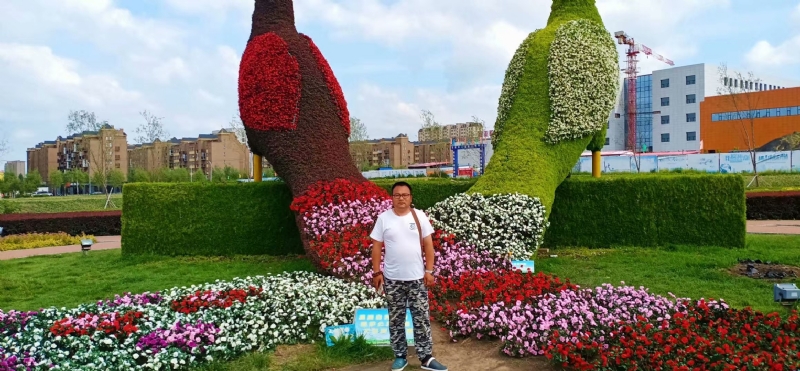 尘埃的第一张照片--长乐相亲服务中心