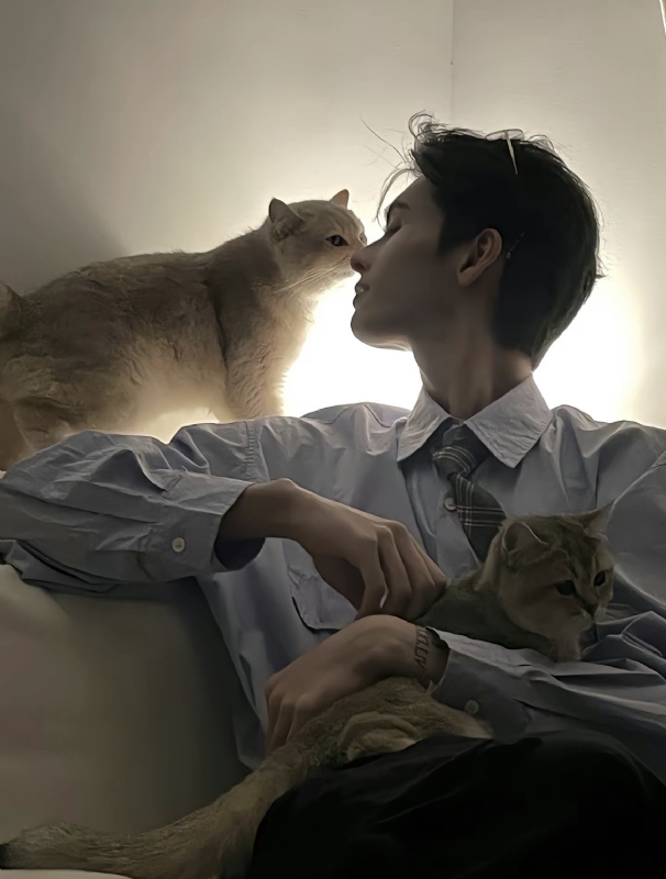 怪猫的第一张照片--长乐相亲服务中心